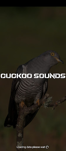 Android application cuckoo sounds screenshort