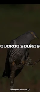 cuckoo sounds