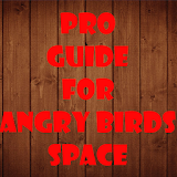 Pro Guide for Angry Bird Space icon