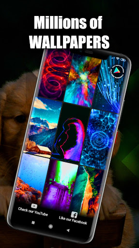 Dog Wallpaper Live HD/3D/4K Screen 3