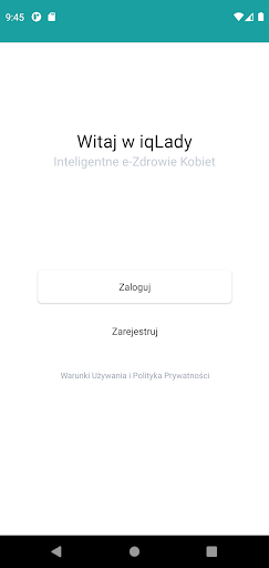 iqLady Screen 2