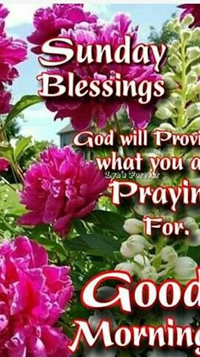 Android application Everyday Blessings And Wishes screenshort