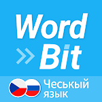 WordBit Чешский язык