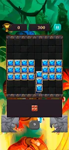 Block Puzzle Match