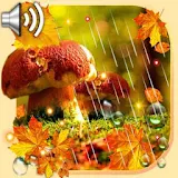 Autumn Rain live wallpaper icon