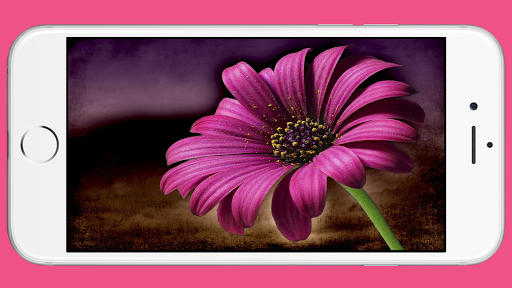 Flower Wallpaper Screen 2