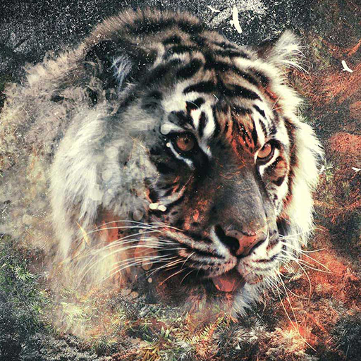 Gambar Wallpaper Harimau 3d Image Num 87