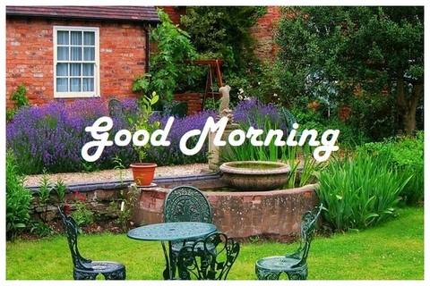 Good Morning Images