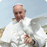 Frases del Papa Francisco icon