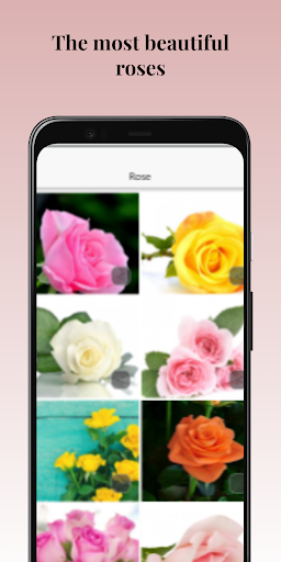 Mothers Day Amazing Flowers Screen 3