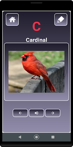 A to Z Birds Name Screen 3