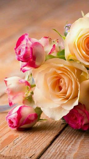 roses and flowers Screen 2