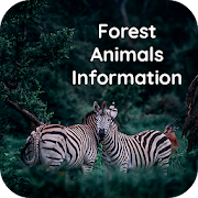 Forest animals information