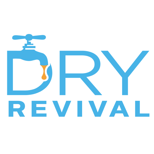 Dry Revival logo