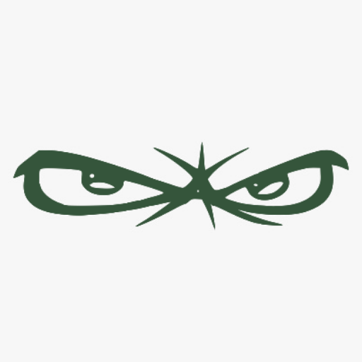 bAMVS logo