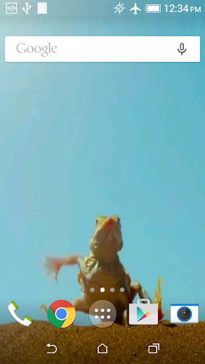 Funny Lizard Live Wallpaper Screen 2