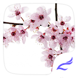 Spring DIY Theme icon