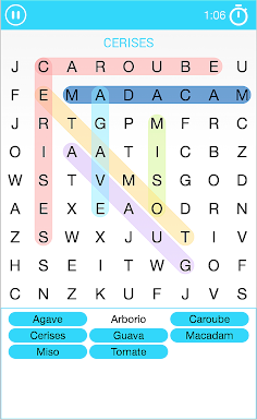 Mots Mêlés en Français - Screenshot 4
