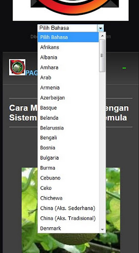 how to cultivate melons
