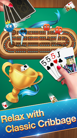 Game screenshot Cribbage - Card Game mod apk