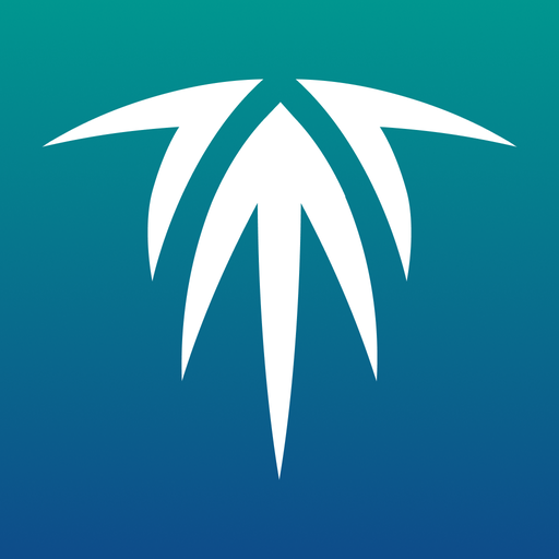 Advisor 2 - FI logo