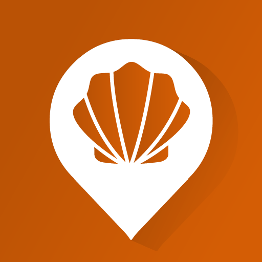 Get Wise Pilgrim Camino Inglés for Android Aso Report