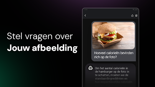 Screenshotafbeelding