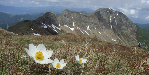 Appennino mappe Screen 2