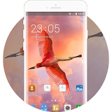 Theme for ZTE Nubia Prague S icon