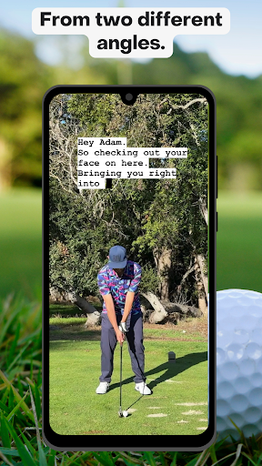 Screenshot of Swingtweaks