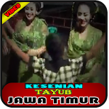 Video Hot Tayub Jawa icon
