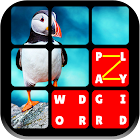 Word Grid - Play with Friends 3.0