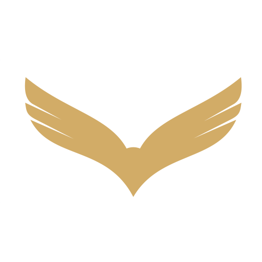Time Hawk logo