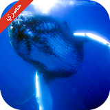 تحدي لعبة الحوت الازرق icon