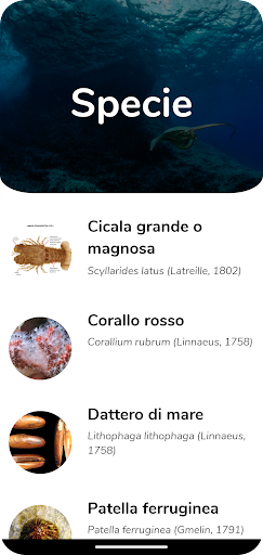 Android application Life Sea.Net screenshort