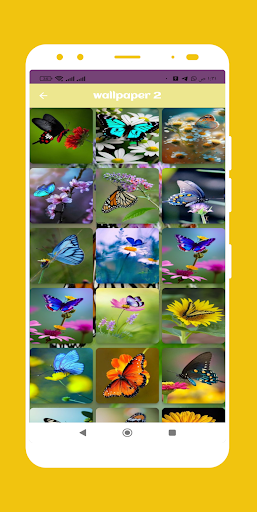 Butterfly wallpaper Screen 3