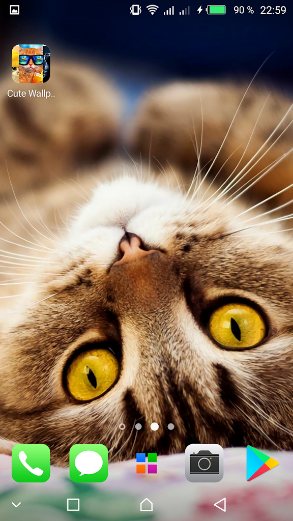 Mignon Chats Fonds D Ecran Pour Android Apk Telecharger