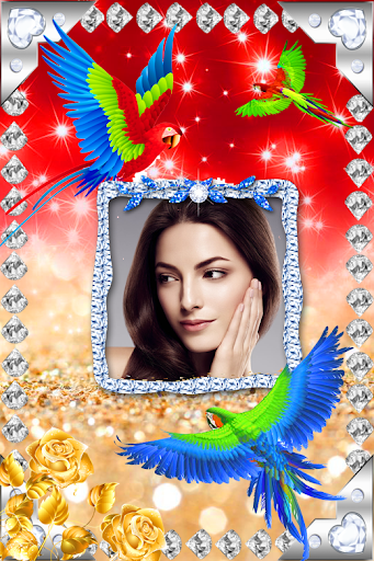 Love Bird photo Frame Screen 2