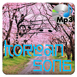 K POP - Best Korean Song Collection icon
