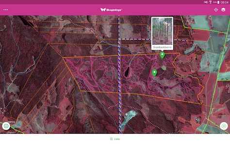 Screenshot image