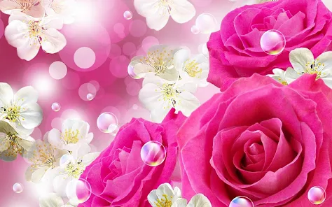 Colorful Flowers Roses HD Wall - Apps en Google Play