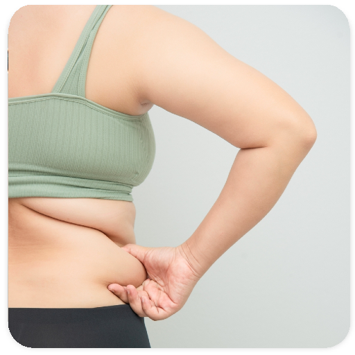 Lose Belly Fat Naturally Guide logo