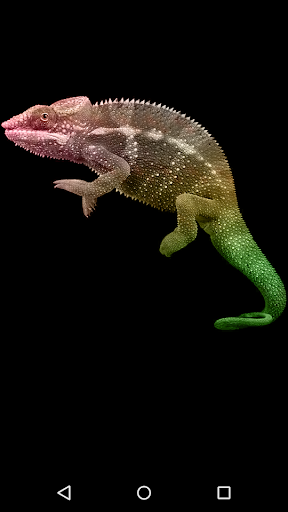 Android application Chameleon screenshort