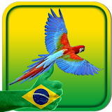 Brazil Live Wallpaper HD icon