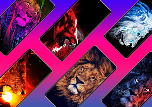 Lion Wallpapers Screen 2