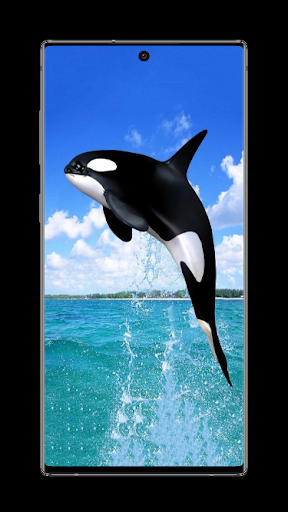 Orca Wallpaper Screen 3