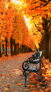 Autumn (Fall) HD Wallpapers