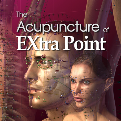 The Acupuncture of Extra Point Latest Icon