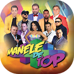 Cover Image of Download Manele de Petrecere  APK