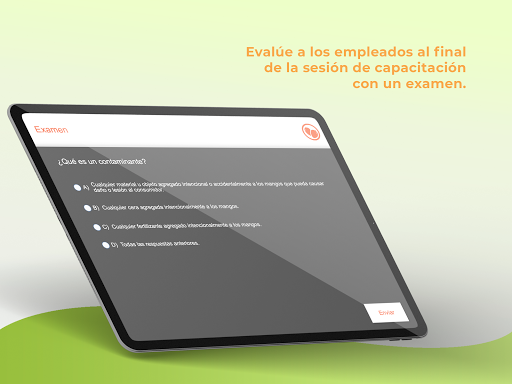 Mango Orientación Bodega